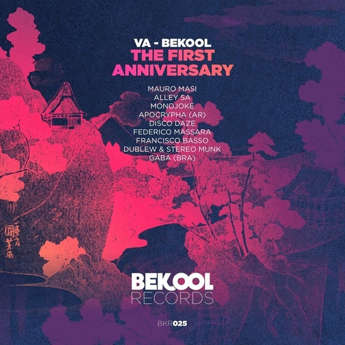 VA - Bekool the First Anniversary [BKR025]